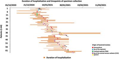 Virulence potential of multidrug-resistant Acinetobacter baumannii isolates from COVID-19 patients on mechanical ventilation: The first report from Serbia